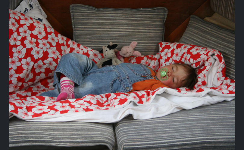 Sargo Minor 700 Cabin-kuva-9